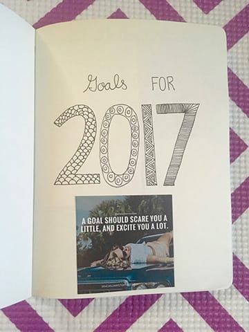 Goals for 2017 - image 2 - student project