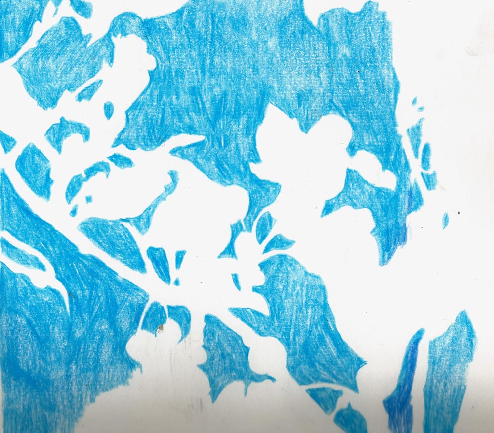 Drawing Nature - Five Creative Sketchbook Activities - image 4 - student project