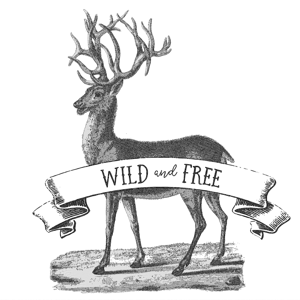 Wild and Free - image 1 - student project