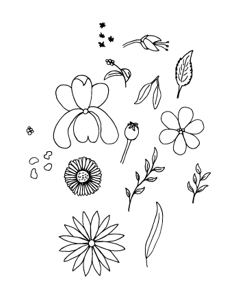 Wild Flowers - image 4 - student project