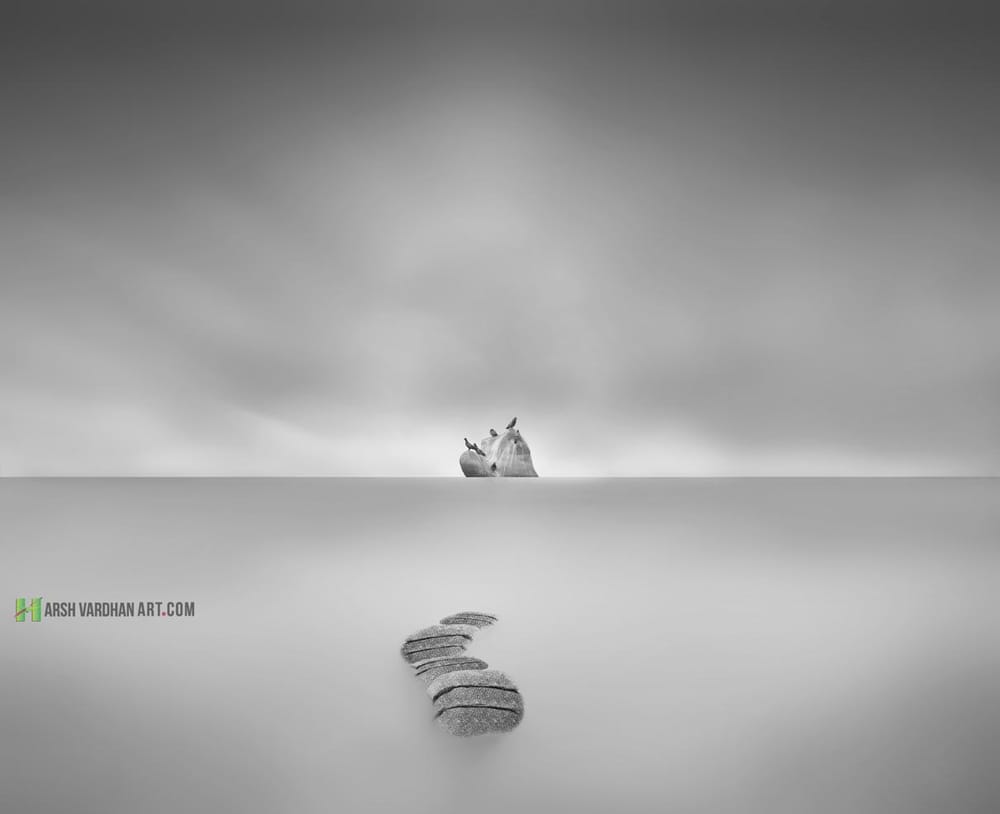 My Logo or Watermarked Image! - image 1 - student project