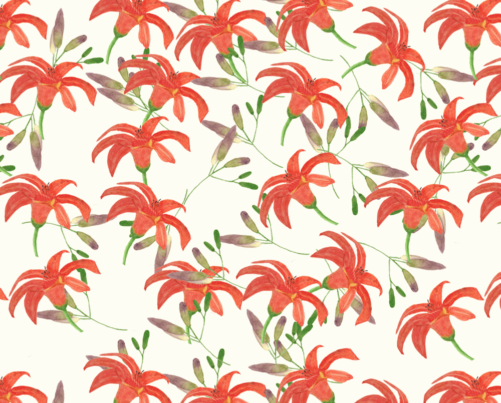Watercolor Lily Illustration - image 4 - student project
