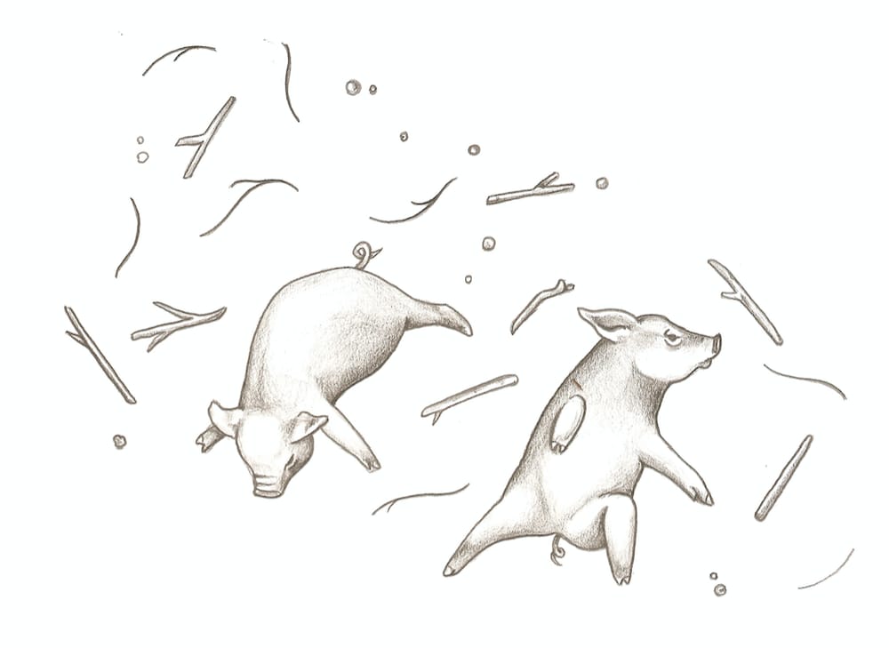 Three Little Pigs - Professional Practise - image 4 - student project