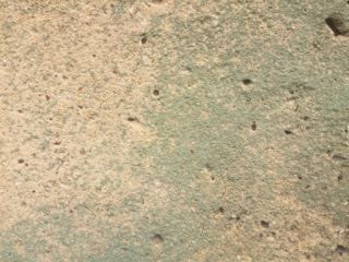 Bowden Textures - image 3 - student project