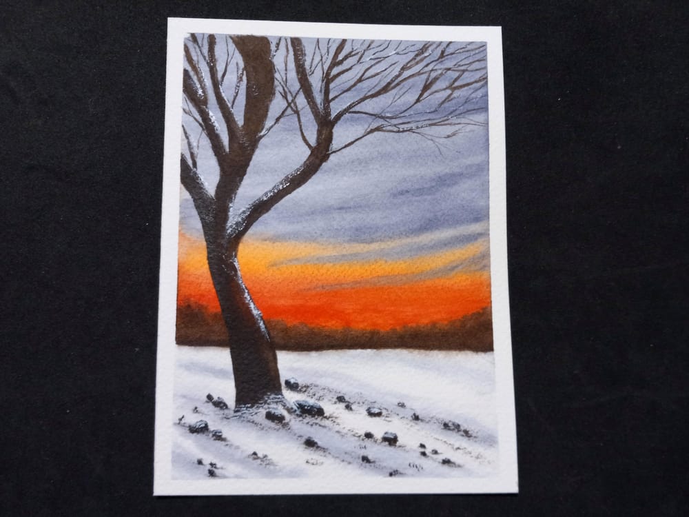 7 Days of Sunsets with Z - image 4 - student project