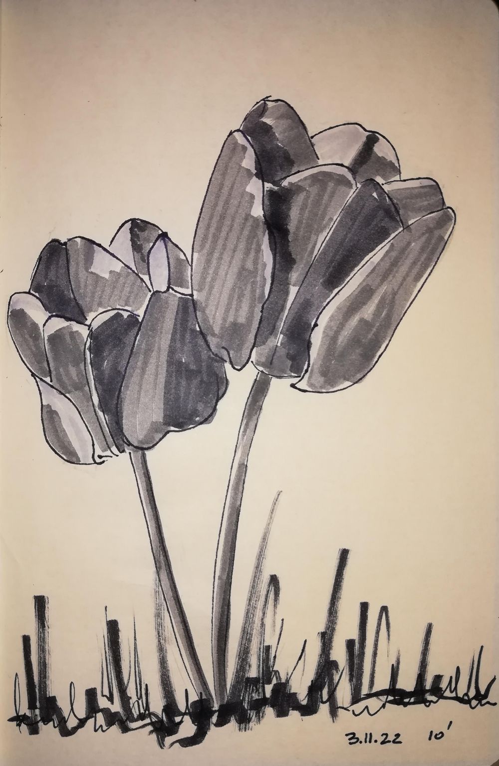 30 days drawing challenge - image 21 - student project