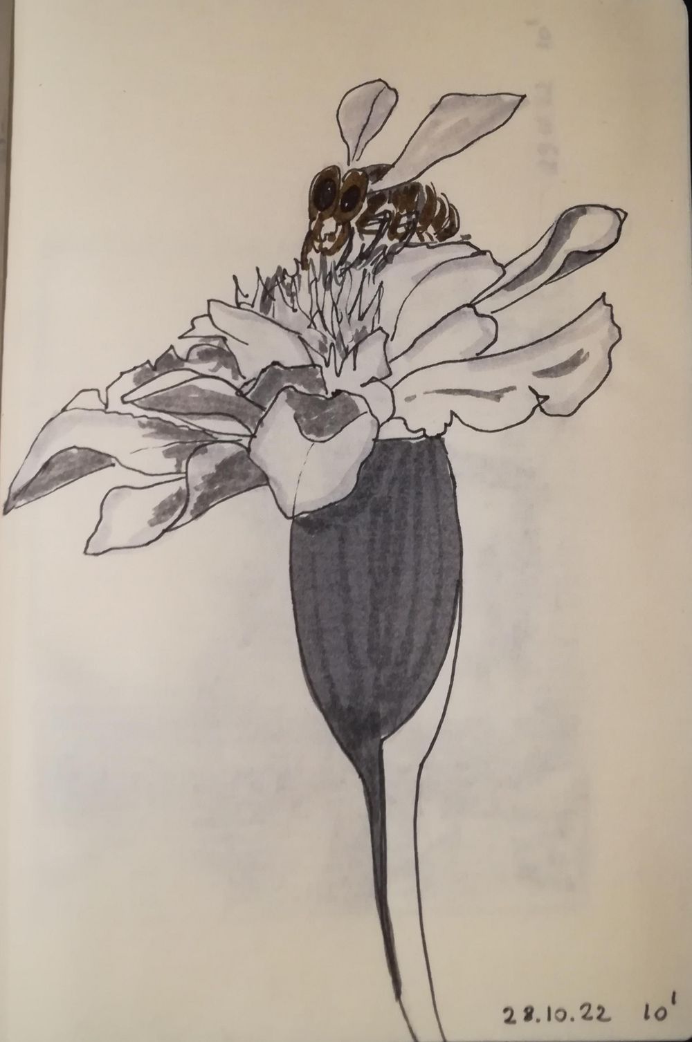 30 days drawing challenge - image 15 - student project