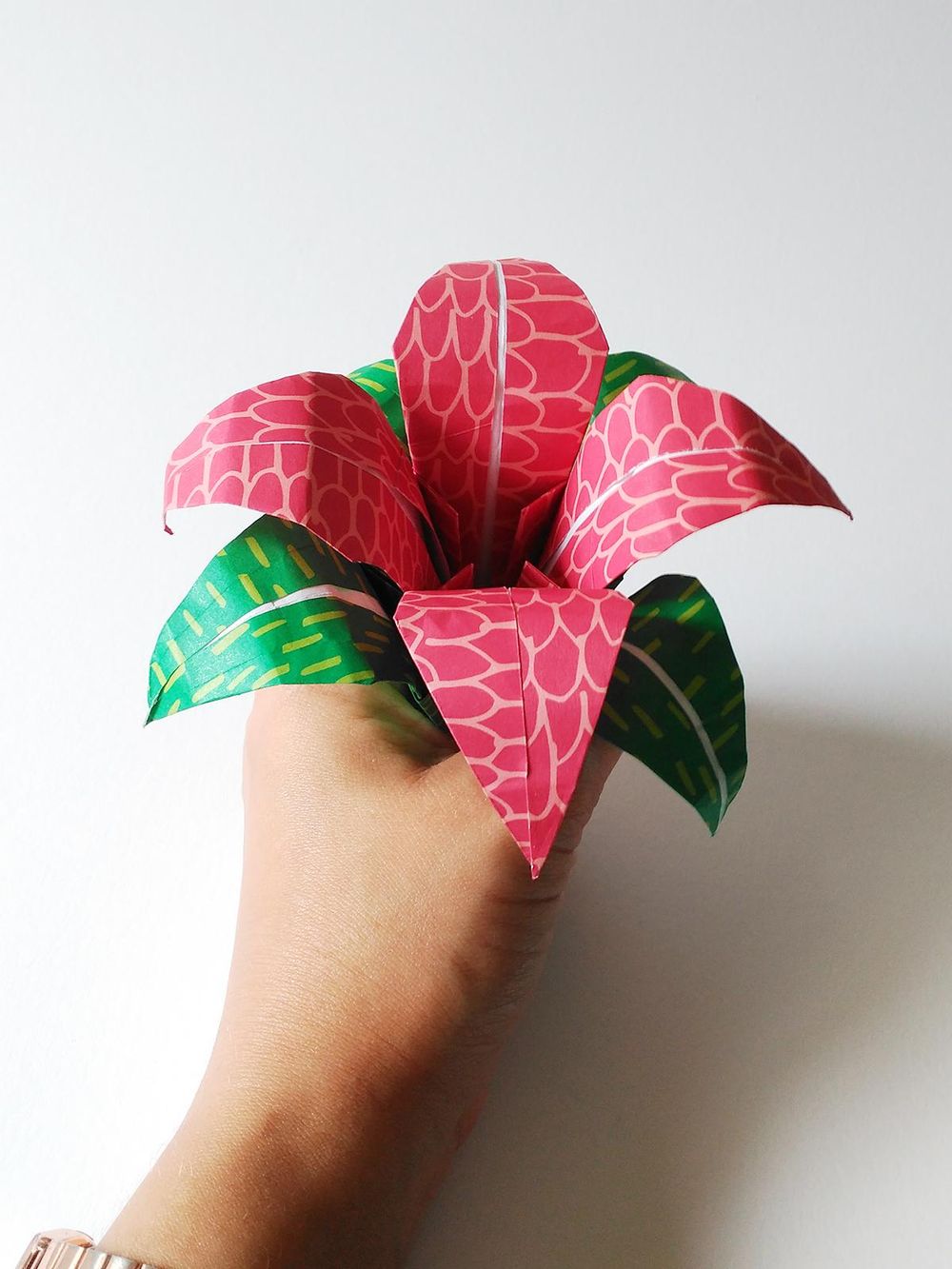 Origami with my cat - image 7 - student project