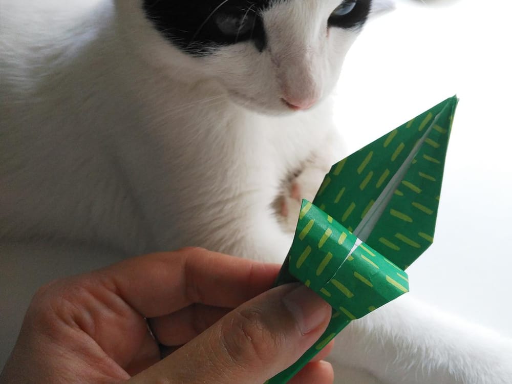 Origami with my cat - image 6 - student project
