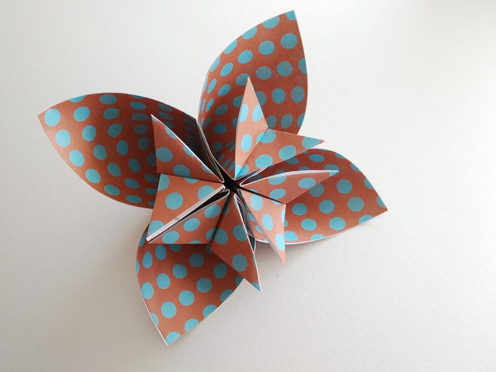 Origami with my cat - image 5 - student project