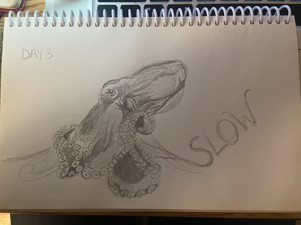 14 Day Drawing Challenge - image 10 - student project