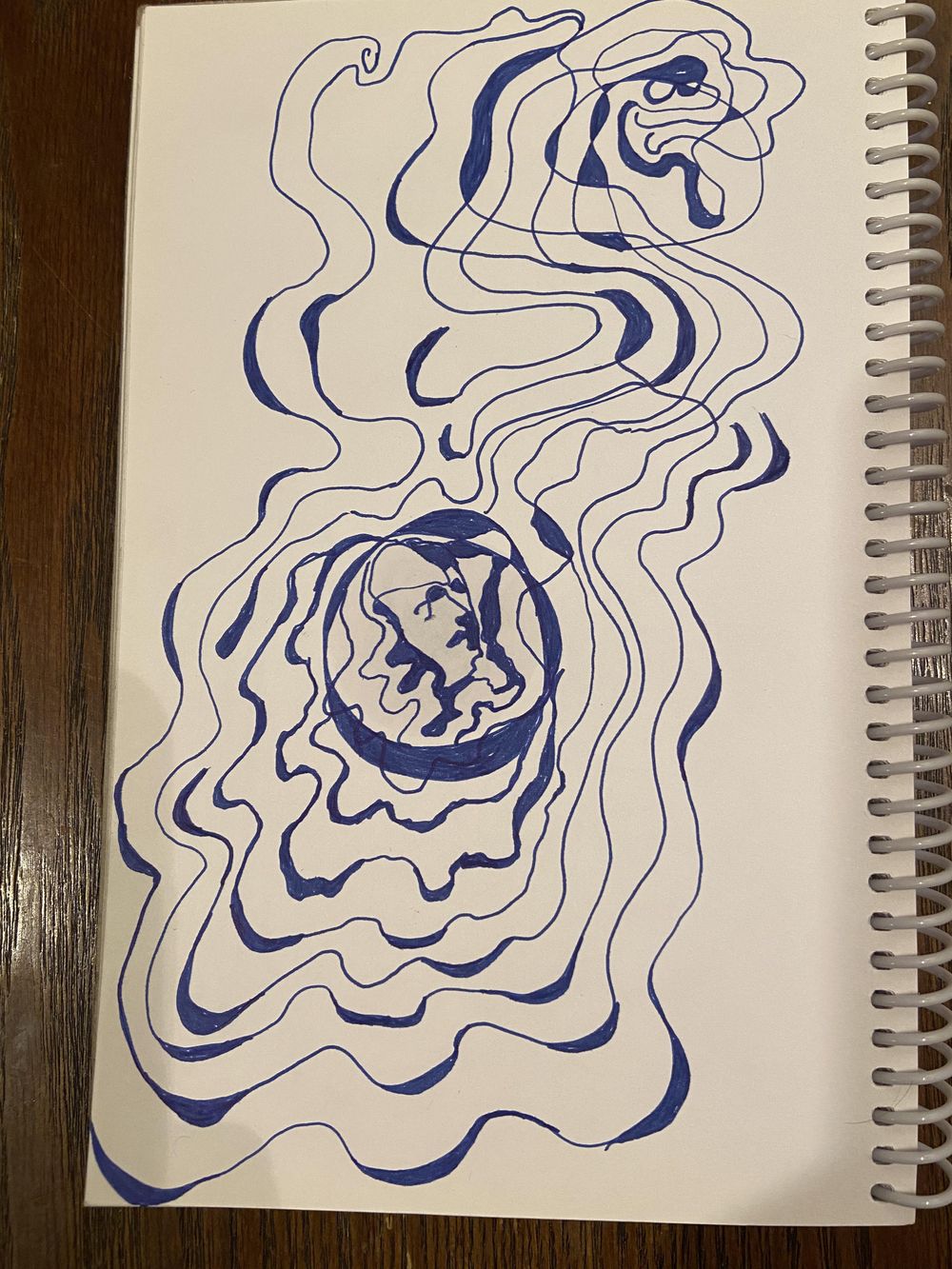14 Day Drawing Challenge - image 3 - student project