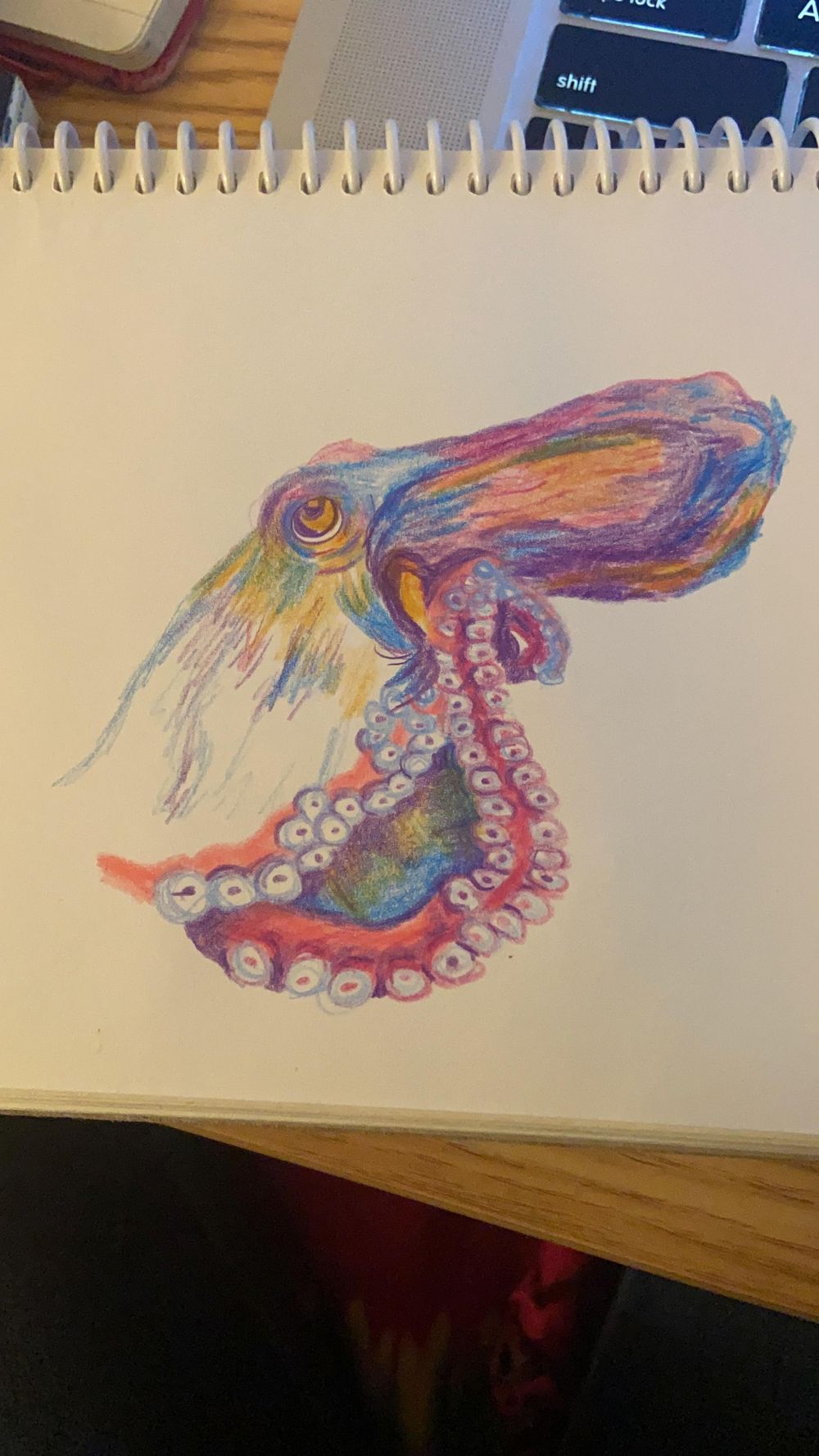 14 Day Drawing Challenge - image 9 - student project