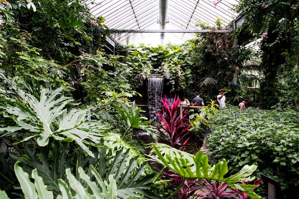 The Cambridge Butterfly Conservatory - Toronto - image 1 - student project