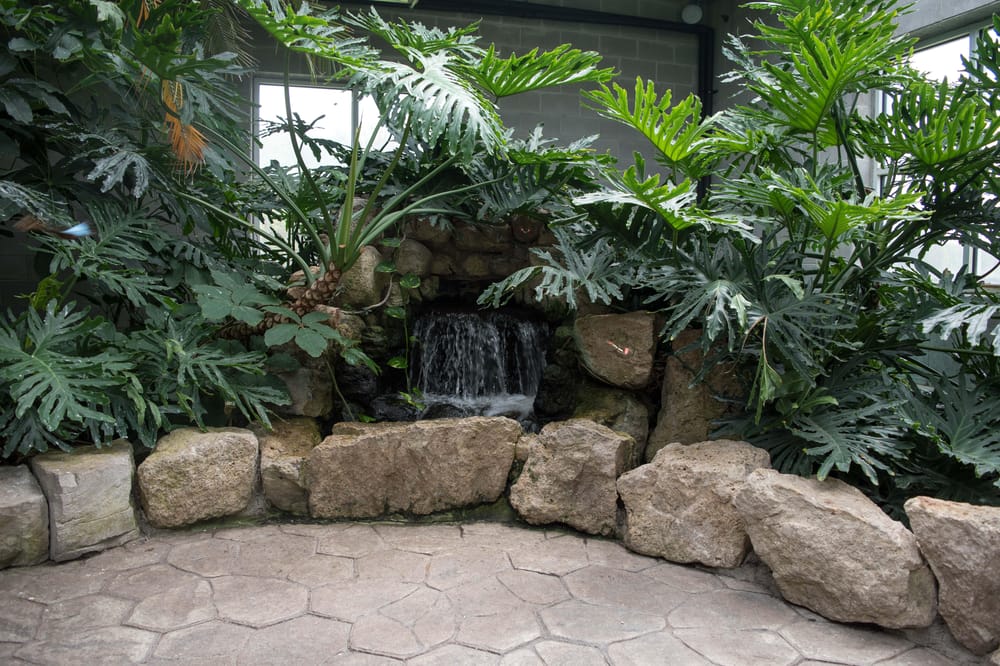The Cambridge Butterfly Conservatory - Toronto - image 2 - student project
