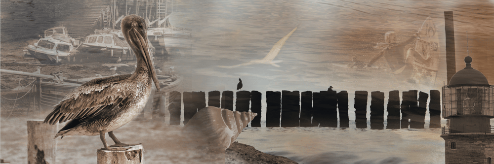 EllieP's "Seaside" - image 1 - student project