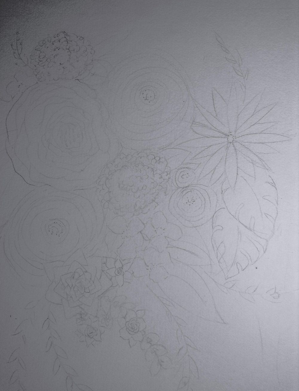 Illustrating beautiful flowers - image 1 - student project