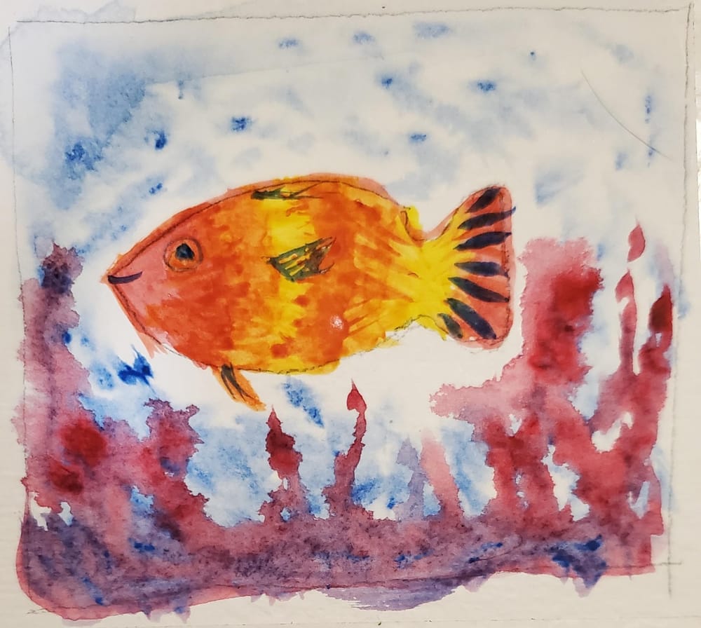 Tiny fish - image 1 - student project