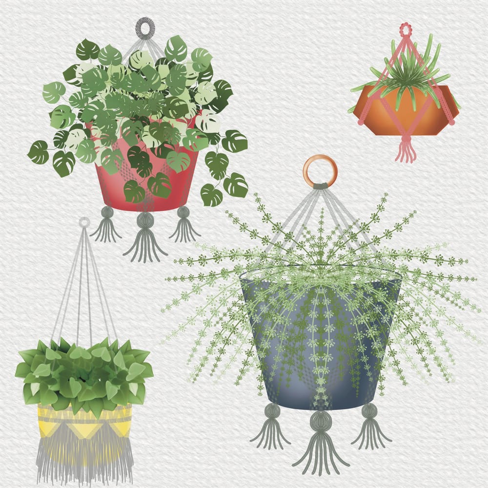 Macrame exercise - image 1 - student project