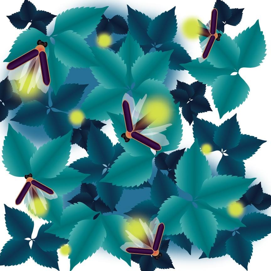 Karen's Firefly pattern - image 1 - student project
