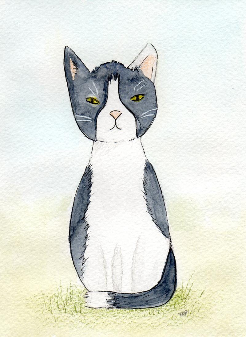 Polly Cat - image 1 - student project
