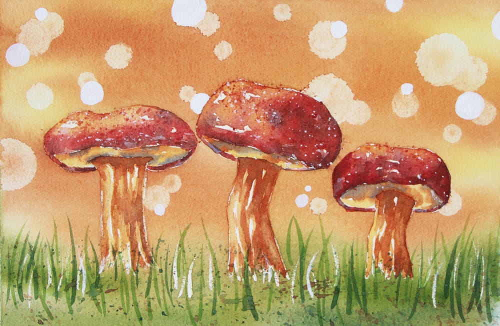 Fall Mushrooms With Bokeh Background - image 1 - student project
