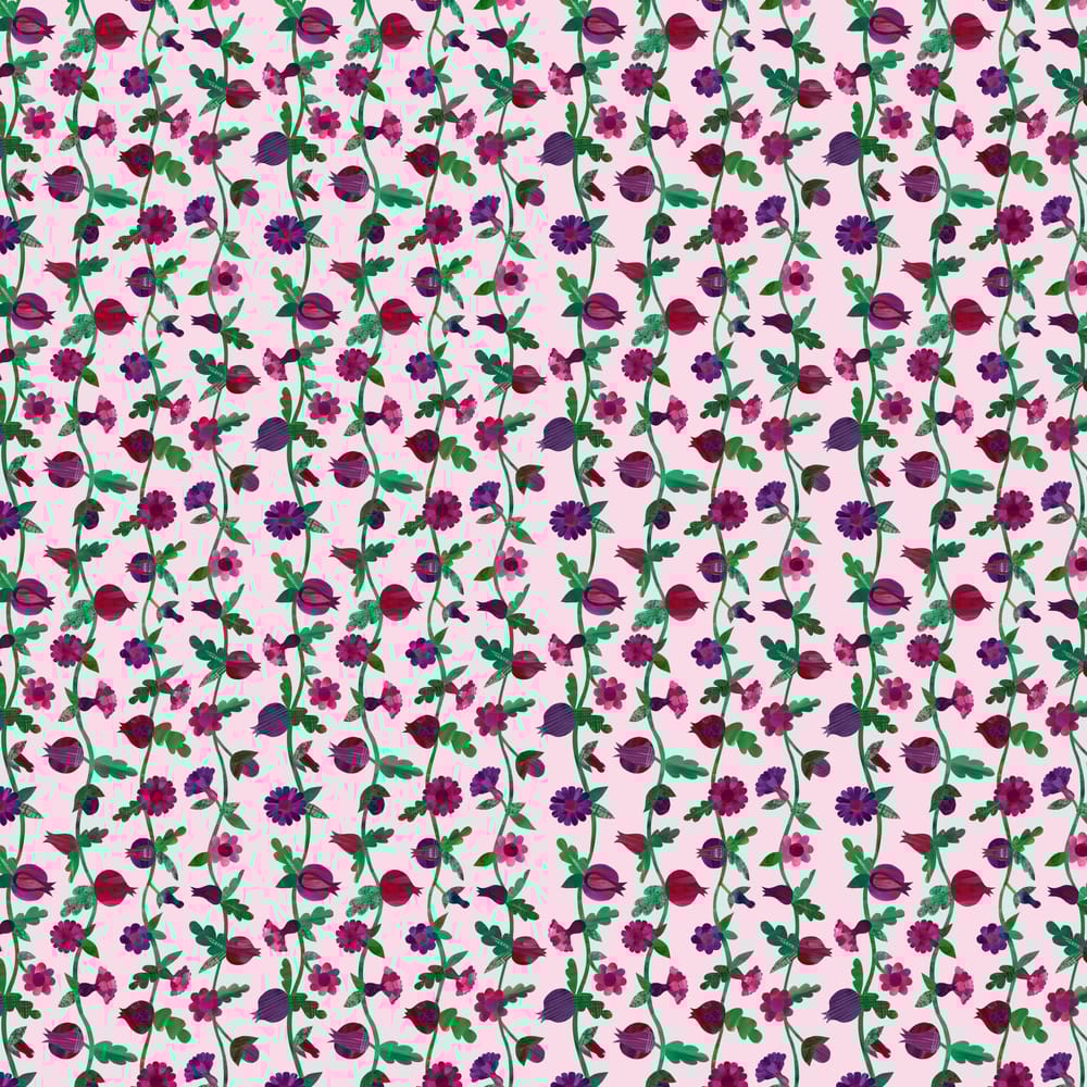 Pomegranate - image 1 - student project