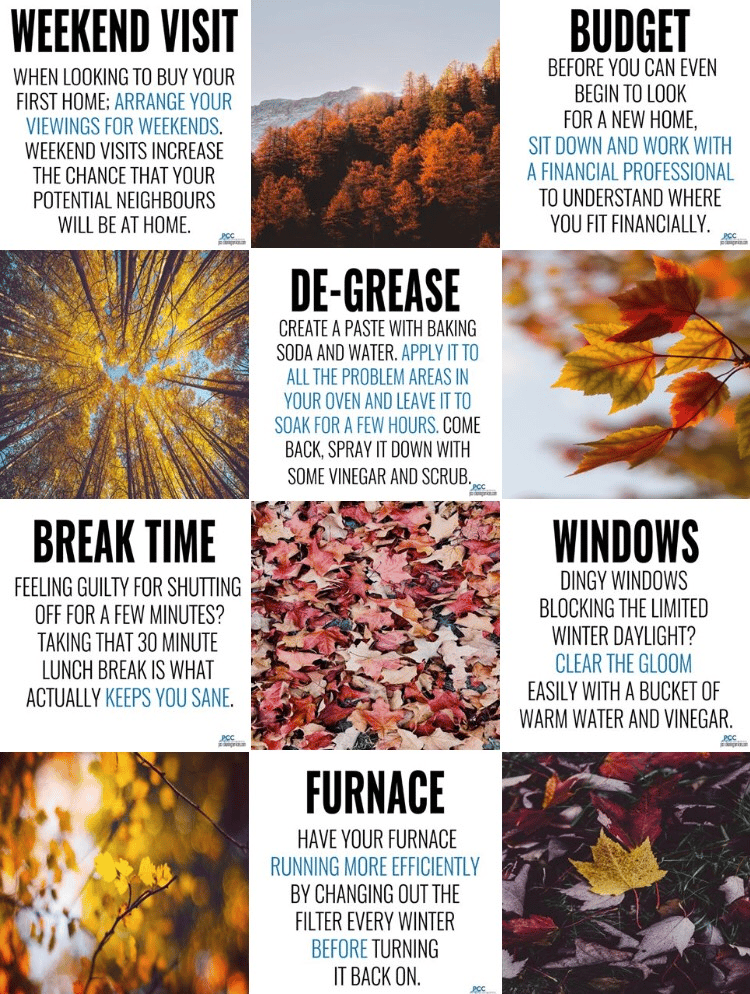 Cleaning Company Fall Theme - image 1 - student project