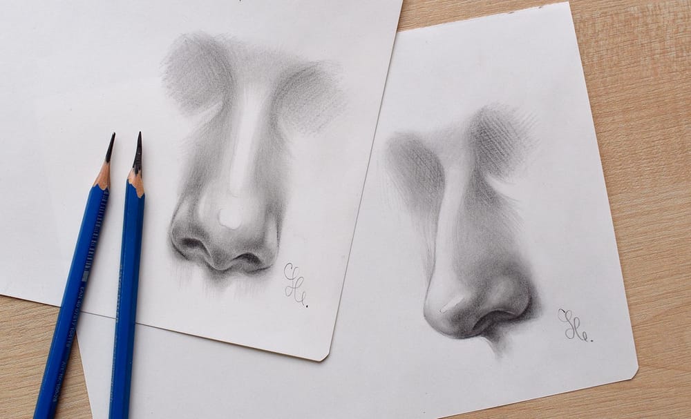 My Noses - image 1 - student project