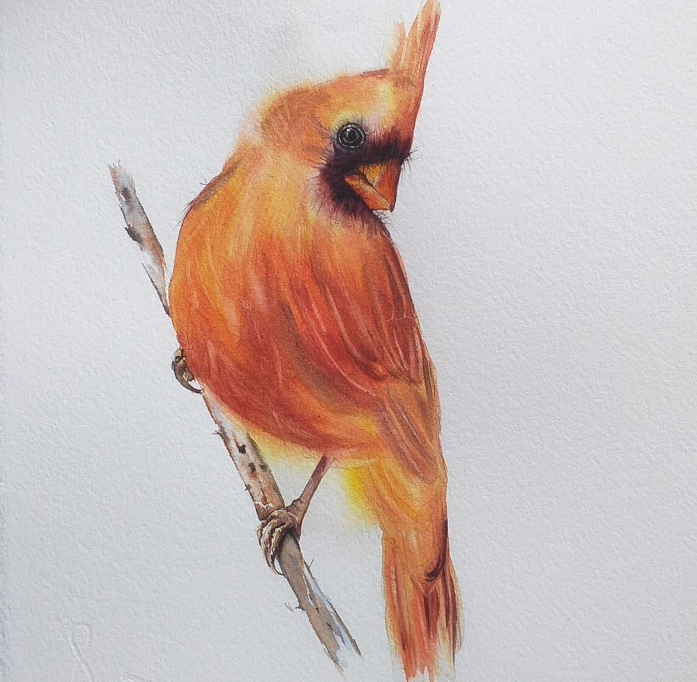 Painting birds in watercolor - image 3 - student project