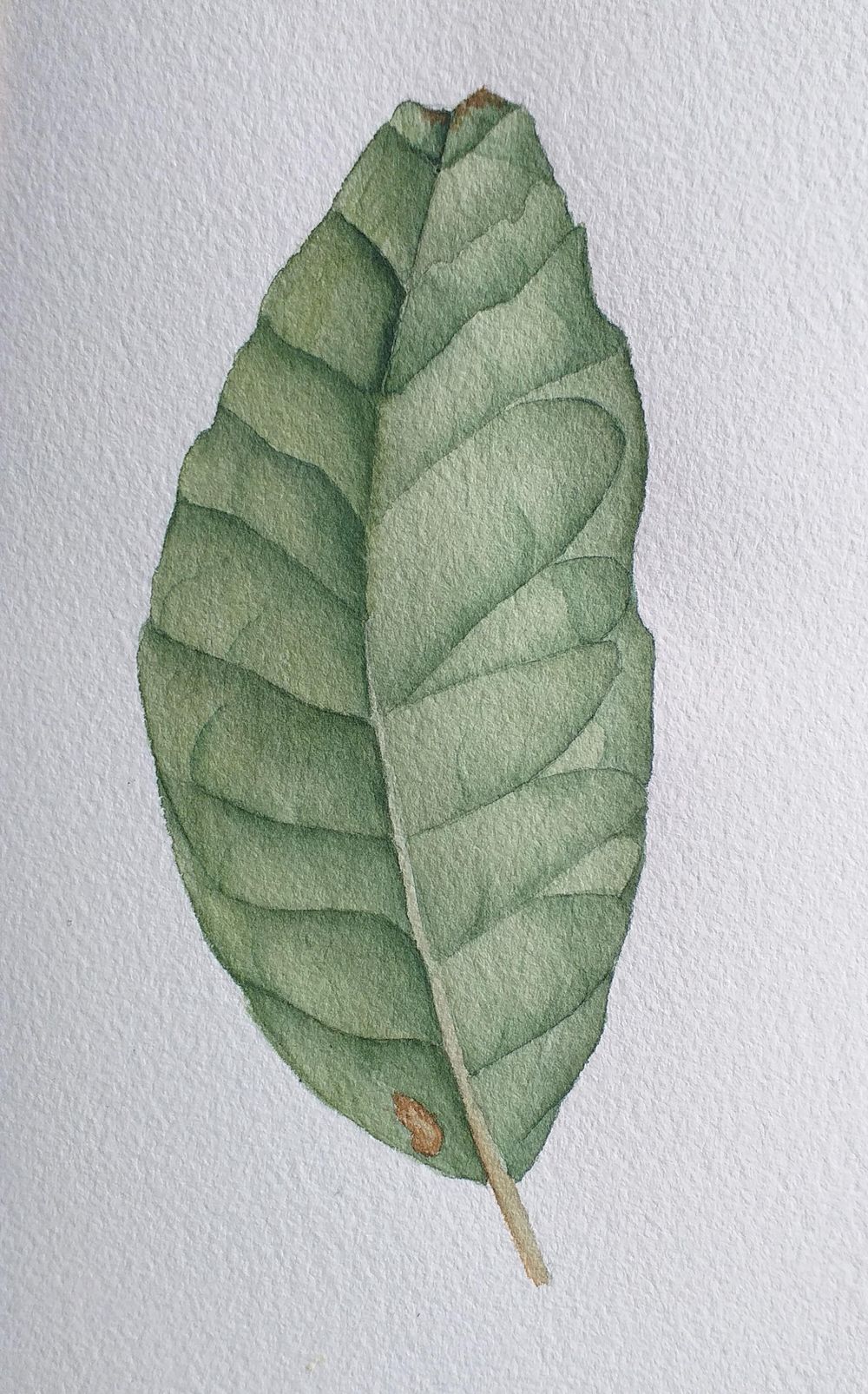 Realistic Leaf - image 1 - student project
