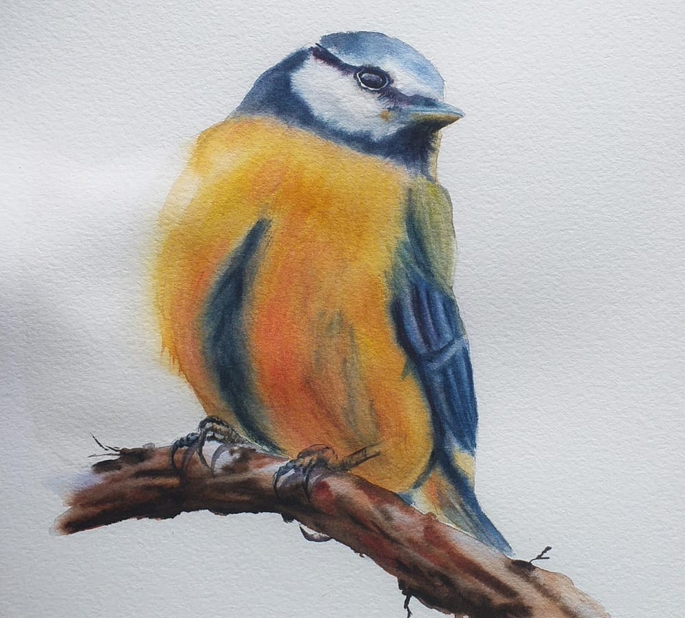 Painting birds in watercolor - image 2 - student project
