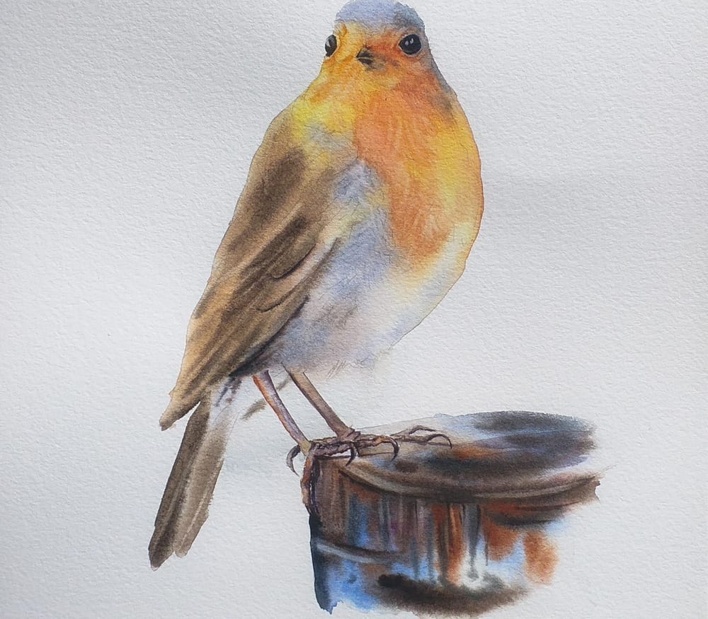 Painting birds in watercolor - image 4 - student project
