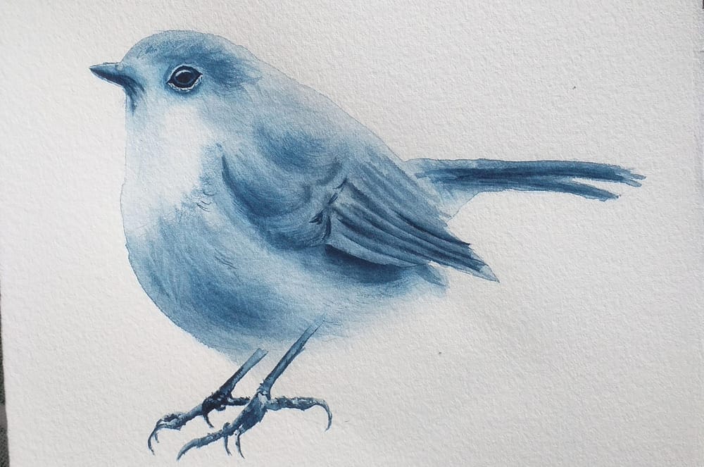 Painting birds in watercolor - image 1 - student project