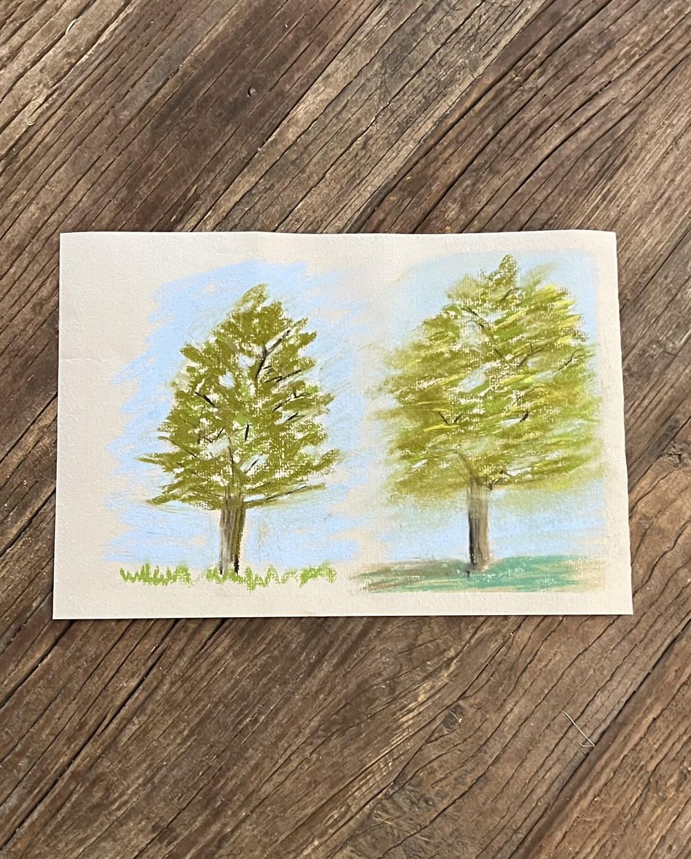How To Draw Trees w/Soft Pastels - image 1 - student project