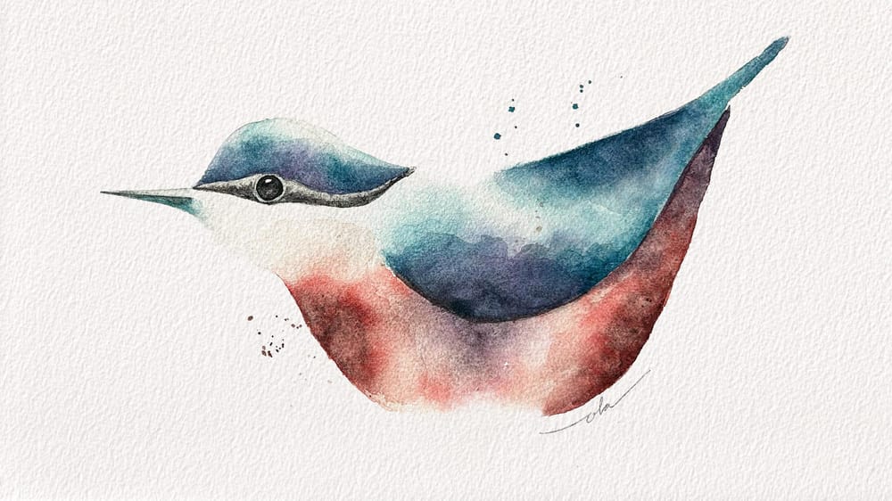 Learn To Paint A Simple Bird In Watercolor - image 1 - student project