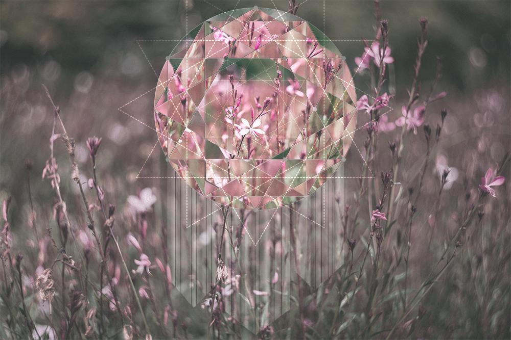 Polyscape - Geometric Effect with Photoshop - image 2 - student project