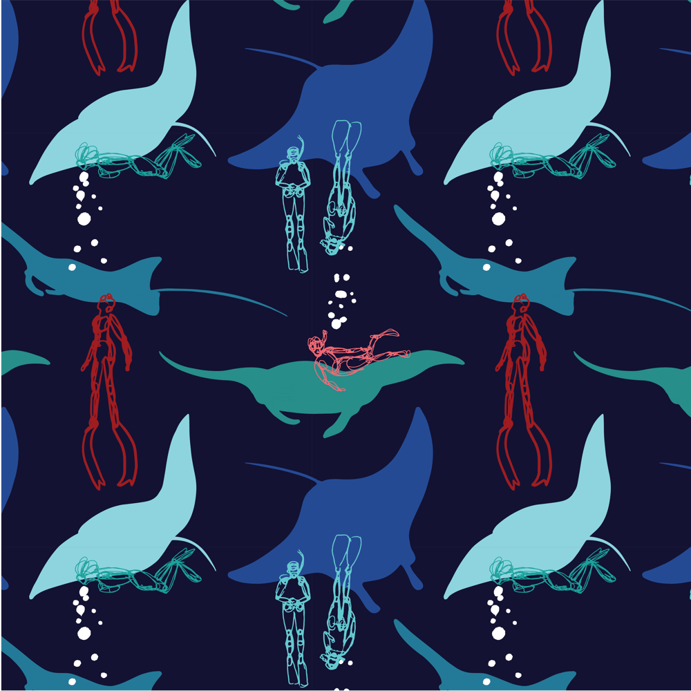 Mantas and Divers - image 11 - student project