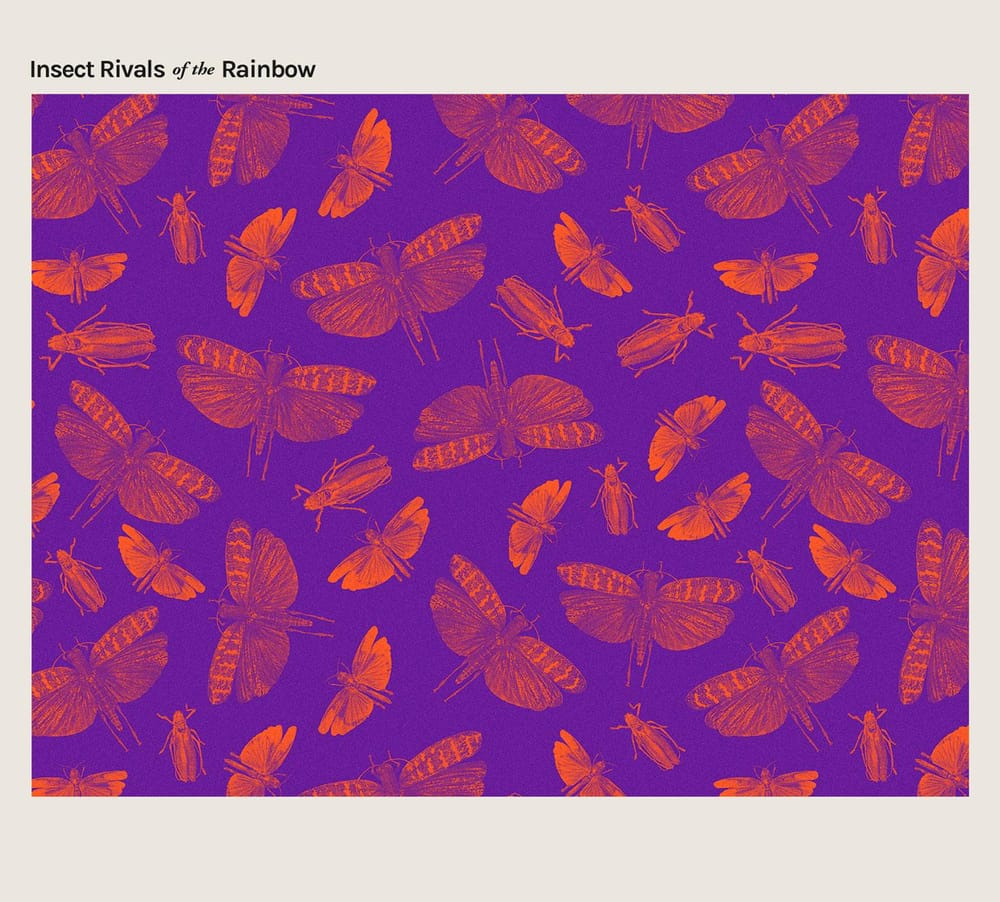 Insect Rivals of the Rainbow - image 4 - student project