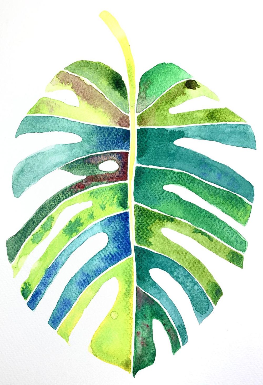 Botanical Watercolors - image 4 - student project