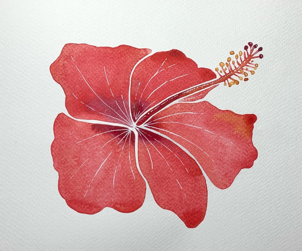 Botanical Watercolors - image 2 - student project