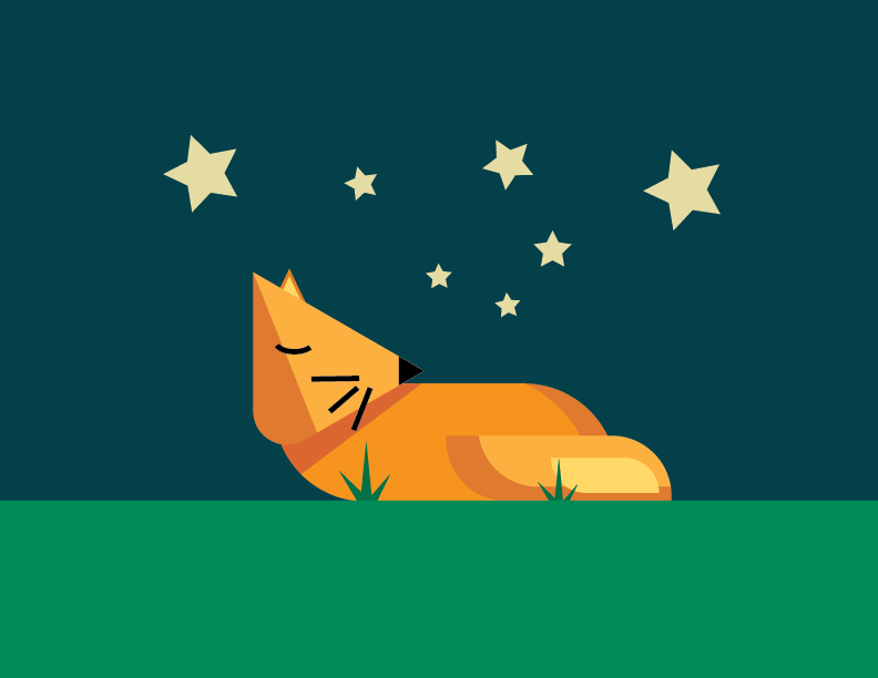 My Illustrator Projects - image 1 - student project