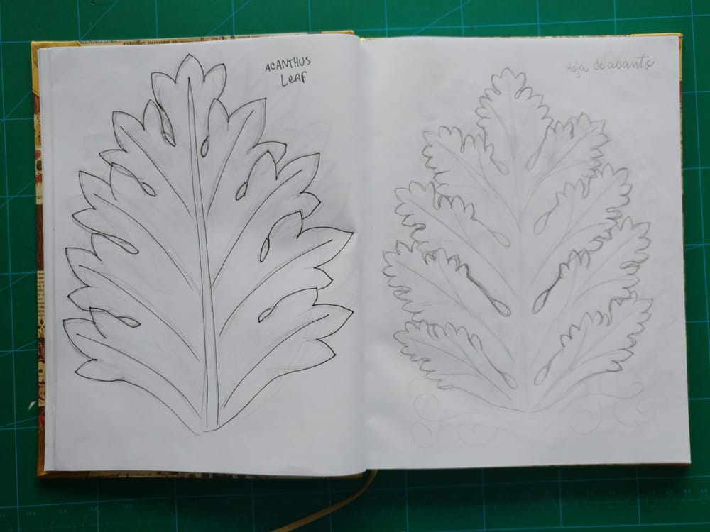 Acanthus Illustration - image 2 - student project