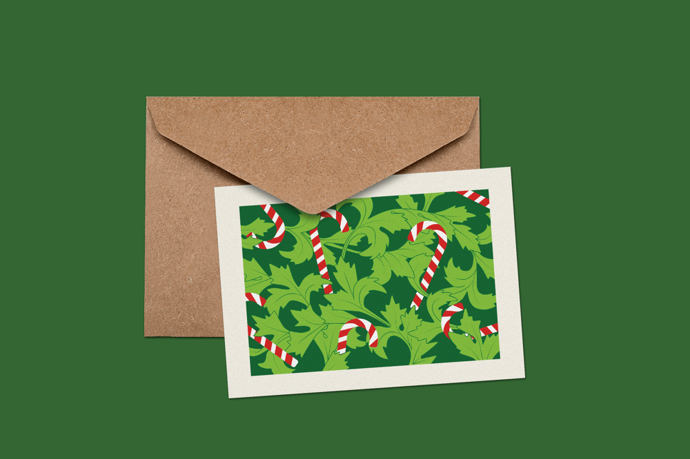 Acanthus Illustration - image 10 - student project