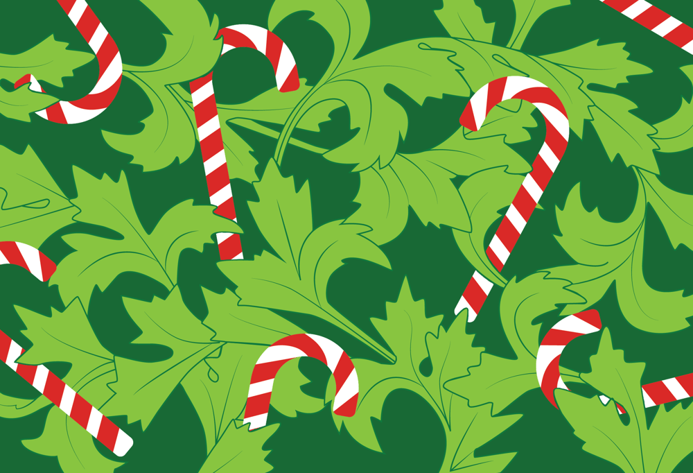 Acanthus Illustration - image 1 - student project