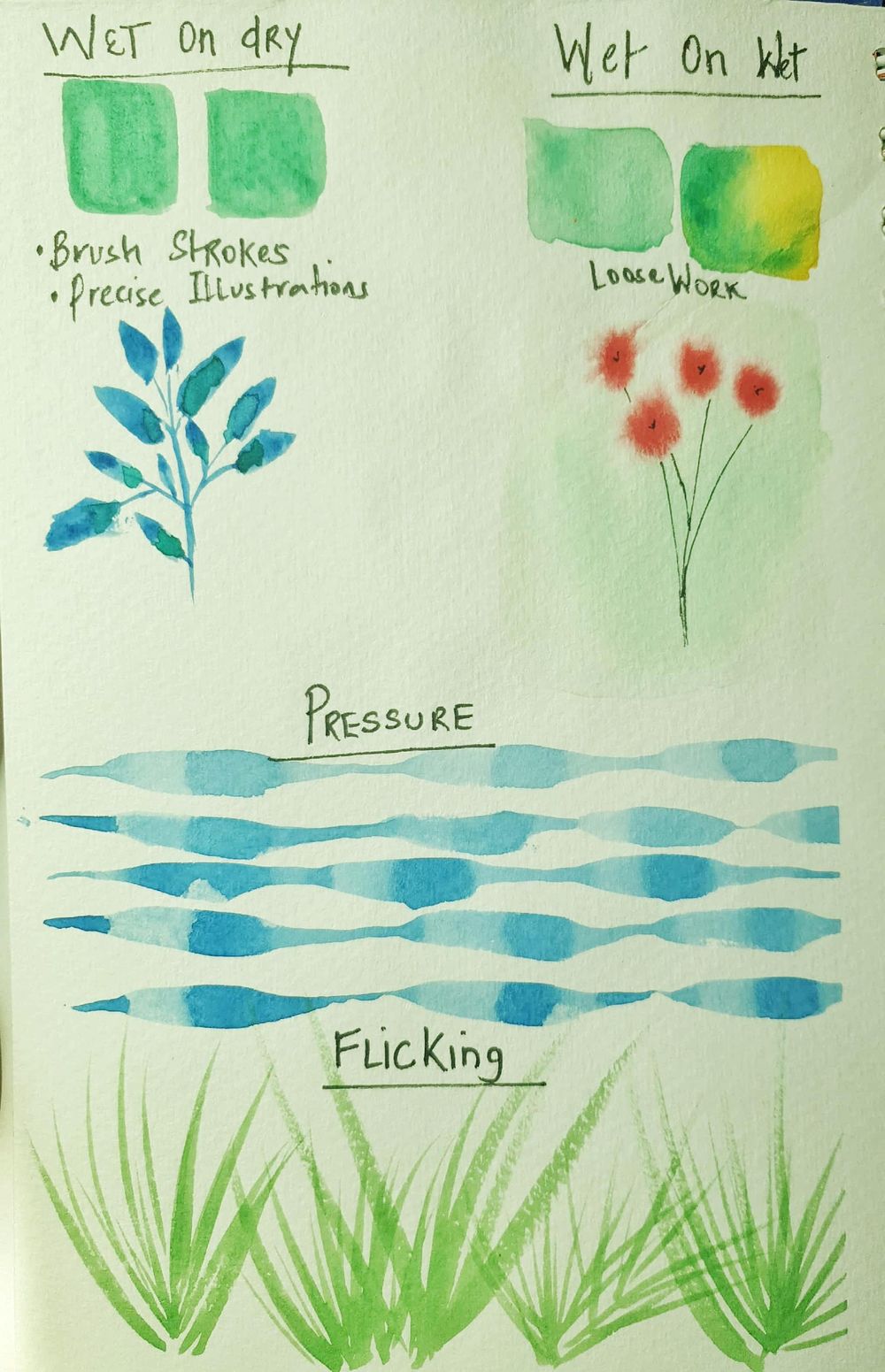 Watercolour Basics - image 2 - student project
