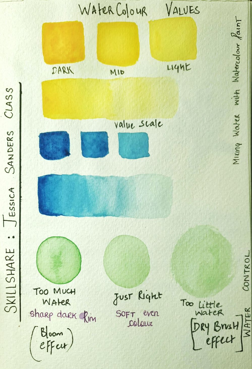 Watercolour Basics - image 1 - student project
