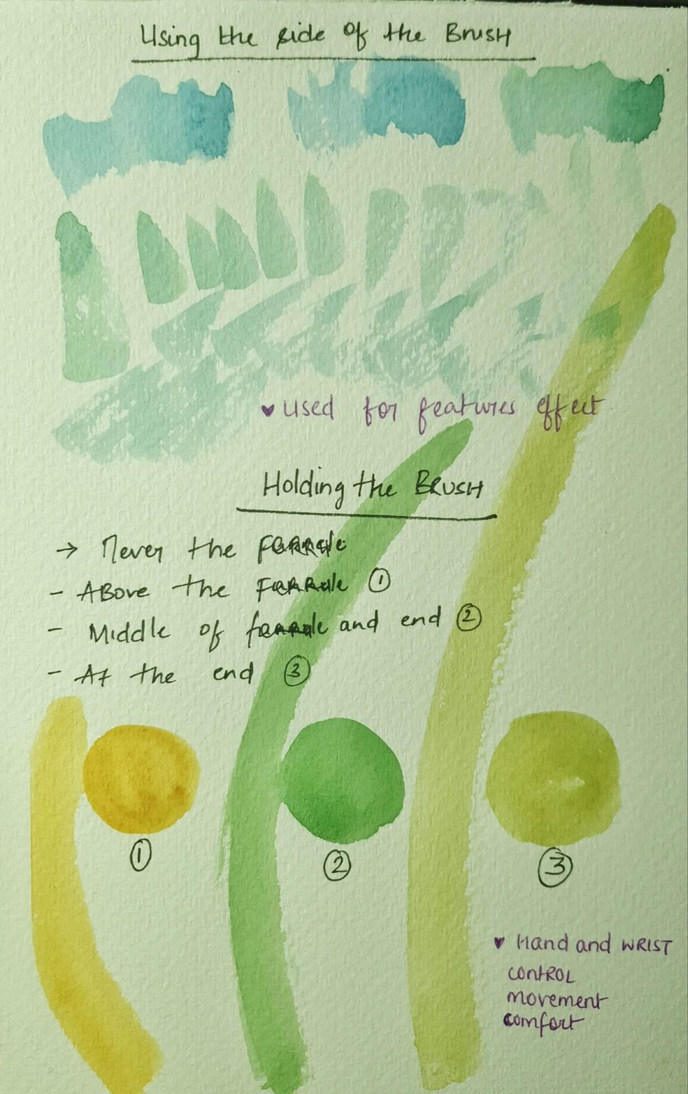 Watercolour Basics - image 3 - student project