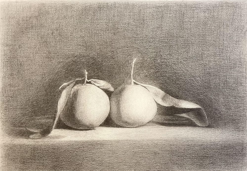 Duo Oranges - image 4 - student project