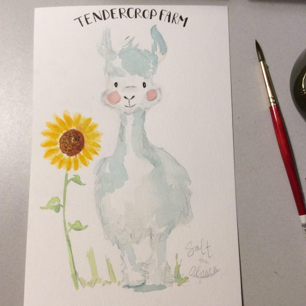 Card ideas ... - image 1 - student project